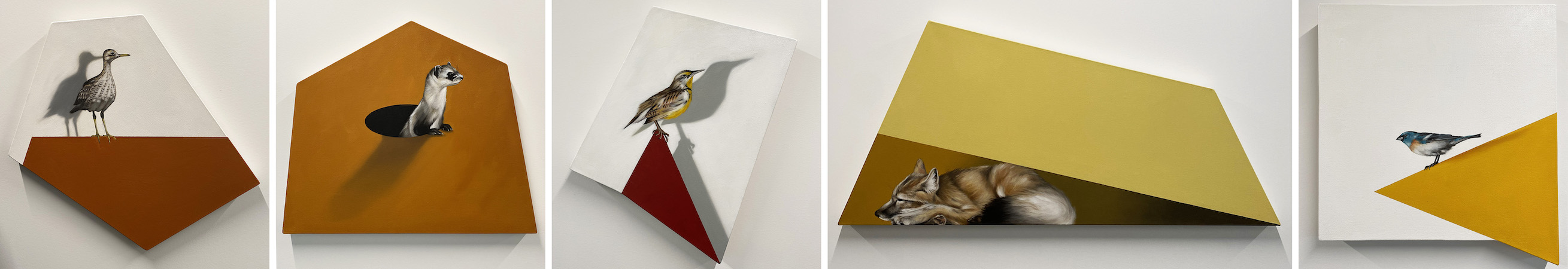 wild life and bird oil paintings by Canadian artist Nick Rooney